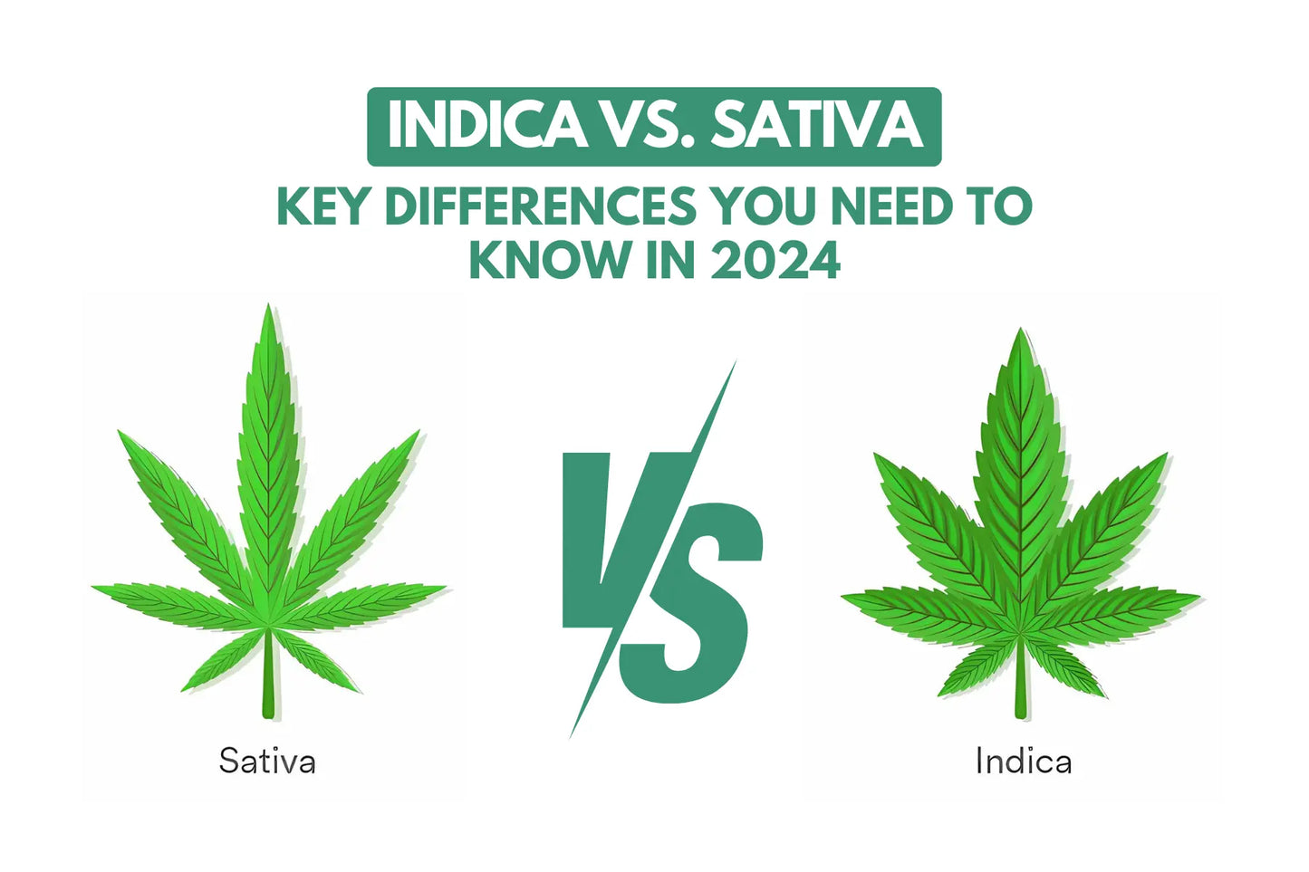 Indica vs. Sativa: Key Differences You Need to Know in 2025