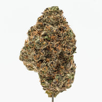 Grape Pie THCa Shake - THC-A Hemp Flower