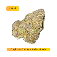 Tropicana Cookies Sativa Exotic THCa Flower - THC-A Hemp Buds